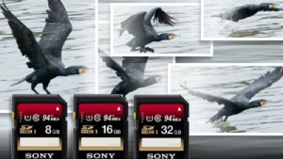 想影得快 讀寫更要快 Sony UHS-I 記憶卡為用家爭分奪秒
