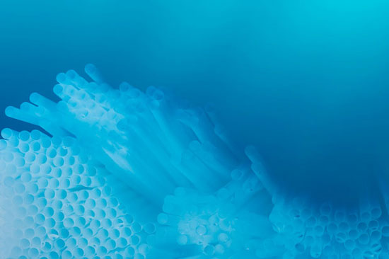 蓝色的忧伤3 121212_zulunews_03.jpg