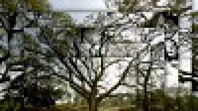 【常霖法師分享】鏡頭的比喻