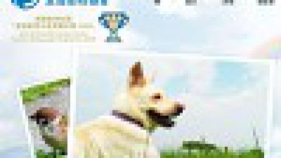 香港愛護動物協會「愛動‧愛影」攝影比賽展開 獎品總值六萬元