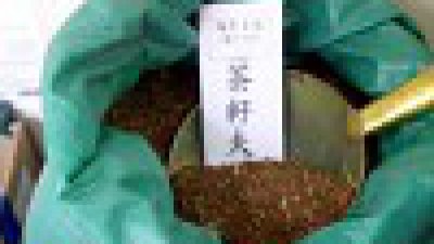 【Fillens】古老當時興 — 茶籽粉