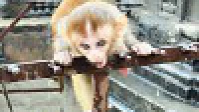 【Jenny 小編部落】自給自足的玩樂主意