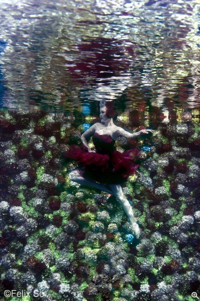 衣服的顏色也是考慮因素，因為在水中會大打折扣，所以也嘗試用一件較搶眼的芭蕾舞衣拍攝。 (ISO 800、70mm、f/2.8、1/160s)