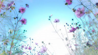 【Fillens 投稿精選】Sunny day