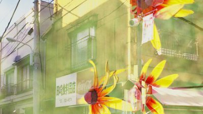 【菲林攝影】意外重曝