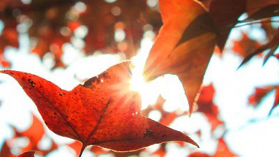 【Fillens 投稿精選】擦出愛火花