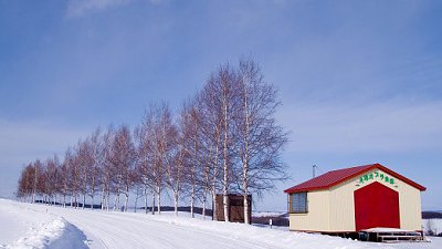【Fever 達人】北海道冬夏景緻