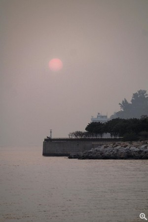拍攝設定：231mm、ISO250、f/6.3、1/160s