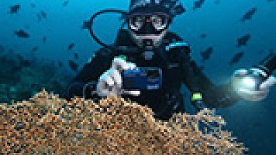 PowerShot D30 最細入門 25 米防水相機 輕鬆探索海洋世界
