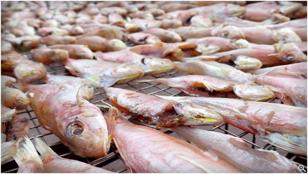 拍攝設定：28mm、ISO100、f/2.9、1/1250s 使用 Galaxy Camera 2 拍攝