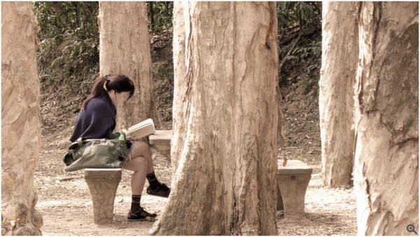 拍攝設定：172mm、ISO100、f/5.0、1/50s 使用 Galaxy Camera 2 拍攝