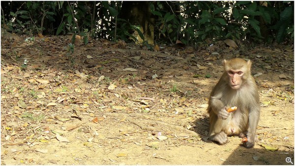 拍攝設定：78mm、ISO100、f/3.8、1/320s 使用 Galaxy Camera 2拍攝拍攝設定：78mm、ISO100、f/3.8、1/320s 使用 Galaxy Camera 2拍攝