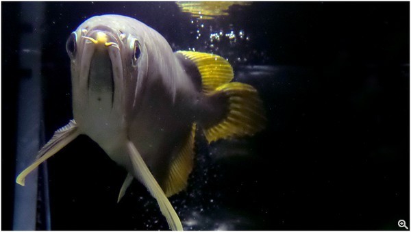 拍攝設定：51mm、ISO800、f/3.4、1/250s 使用 Galaxy Camera 2 拍攝