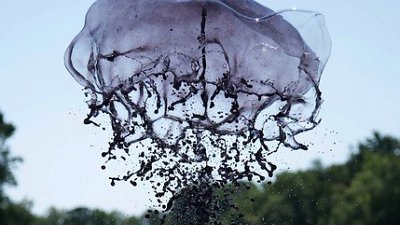 驚人的跳躍力！ 巨型水母飛出水面