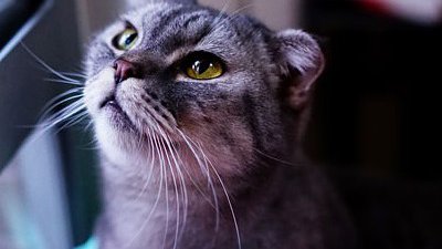 你可能未知 Sony 的 A7．A7R 潛能 三位用家心得上載