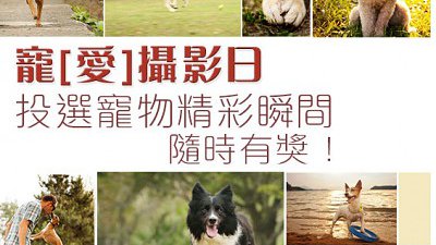寵「愛」攝影日，投選寵物精彩瞬間隨時有獎！