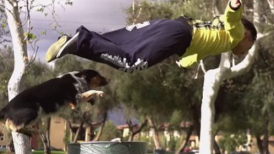 You jump, I jump！「飛躍道」的人狗組合