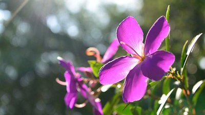 超輕量級新標準 1 NIKKOR 18.5mm f/1.8