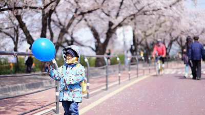 【舜舜Daddy專欄】舜舜gogogo!去首爾睇櫻花