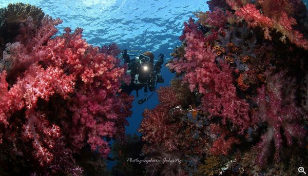 姿態優美的水底模特兒正是 John 的太太 Jennifer；印尼 RajaAmpat 海域約 2-5 米的淺海拍攝。