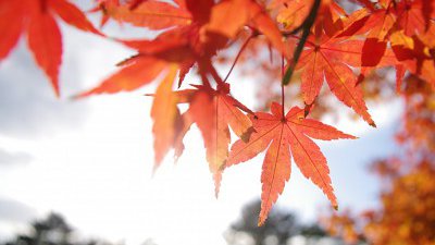 【Fillens 投稿精選】你是我的光