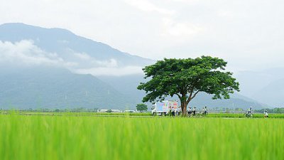 【舜舜Daddy專欄】你的眼界轉動世界‧台東洗滌心靈之旅（池上篇）