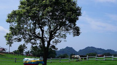 【舜舜Daddy專欄】你的眼界轉動世界・台東「小北海道」之旅（農場篇）