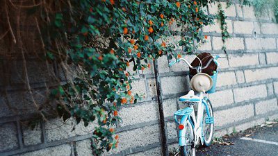【Fillens 投稿精選】腳踏車之行