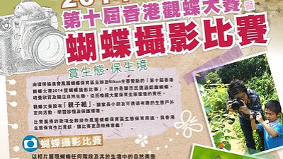 令攝影更有意義！第十屆香港觀蝶大賽 2014 暨蝴蝶攝影比賽