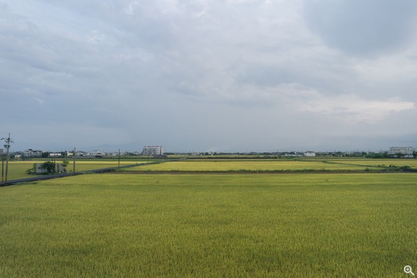 拍攝設定：16mm、ISO400、f/8、1/60s 