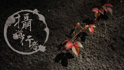 【Fever 達人】攝道行者（一）－影石頭論