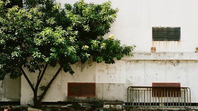【Fillens 投稿精選】城市的一角