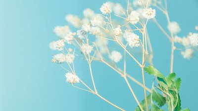 【Fillens 投稿精選】Some......