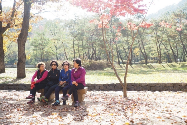 髮型一致、三五成群的「阿豬媽」(韓音︰即結婚後或者是年紀比較大的女性) 拖著手去旅行，這是韓國旅遊區常見到的景象。 (攝︰Jenny )
