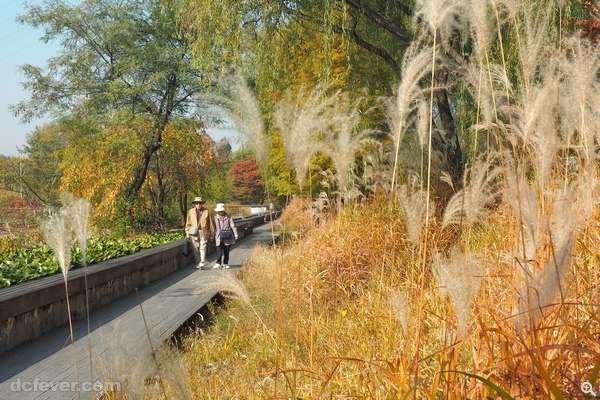仙遊島公園是由淨水場改建而成的生態公園，當地人都喜歡在這裡散步。(攝︰Jenny )