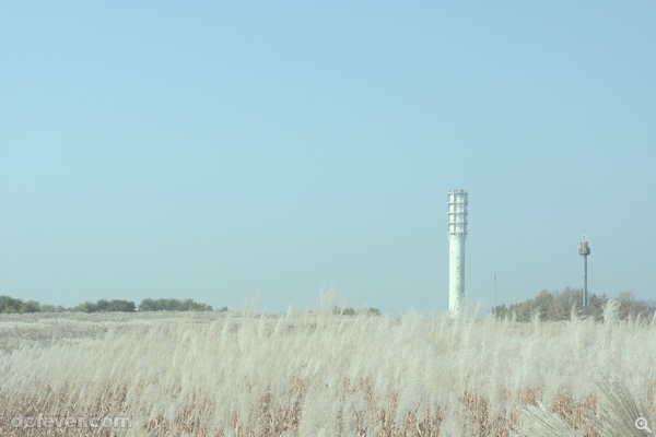 種滿紫芒花的藍天公園，原來是將垃圾掩埋場的貧瘠之地復原成富有自然變化的空間。(攝︰Jenny )
