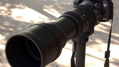 600mm 打雀去！Sigma 150-600mm | Sport 實拍測試