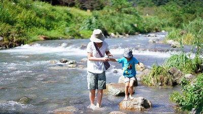 【舜舜Daddy專欄】如何用蔗渣價錢買到燒鵝味道（鏡頭篇）
