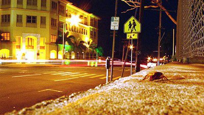 甴曱有助改善攝材的夜視能力？
