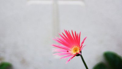 參加墳場攝影比賽，有甚麼需要注意？