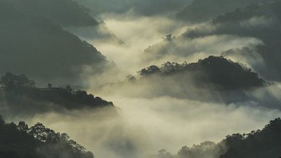 每月大獎「賞」二月得獎作品公佈！