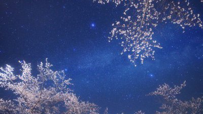 【Fillens】星空下的「不夜城」@ 宮坂雅博