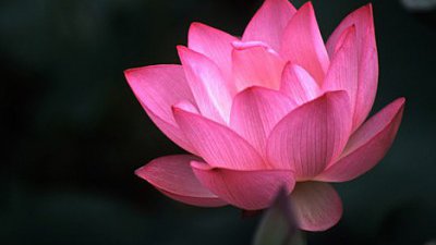 【Fillens】漫談底片 (三) 富士Provia, 柯達Elite Chrome