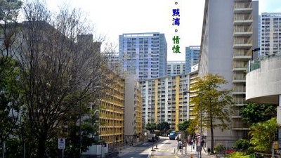 【Fever Travel】華富。點滴。情懷。