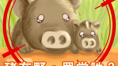 【Fillens】沒有一種宰殺叫「人道」