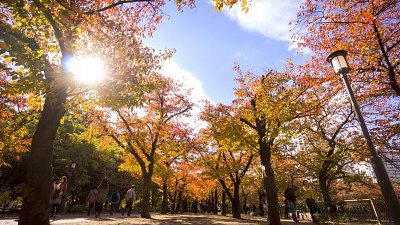 【Fillens 投稿精選】天與地