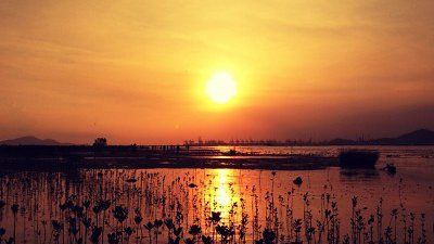 【Fillens 投稿精選】黃昏