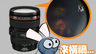 插翼難飛！烏蠅「寄居」防滴防塵 L 鏡？