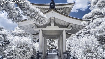 【Fever Travel】紅外線勝地・志蓮淨苑