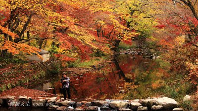 【Fever 達人】絕色、深秋....韓國禪雲山國立公園